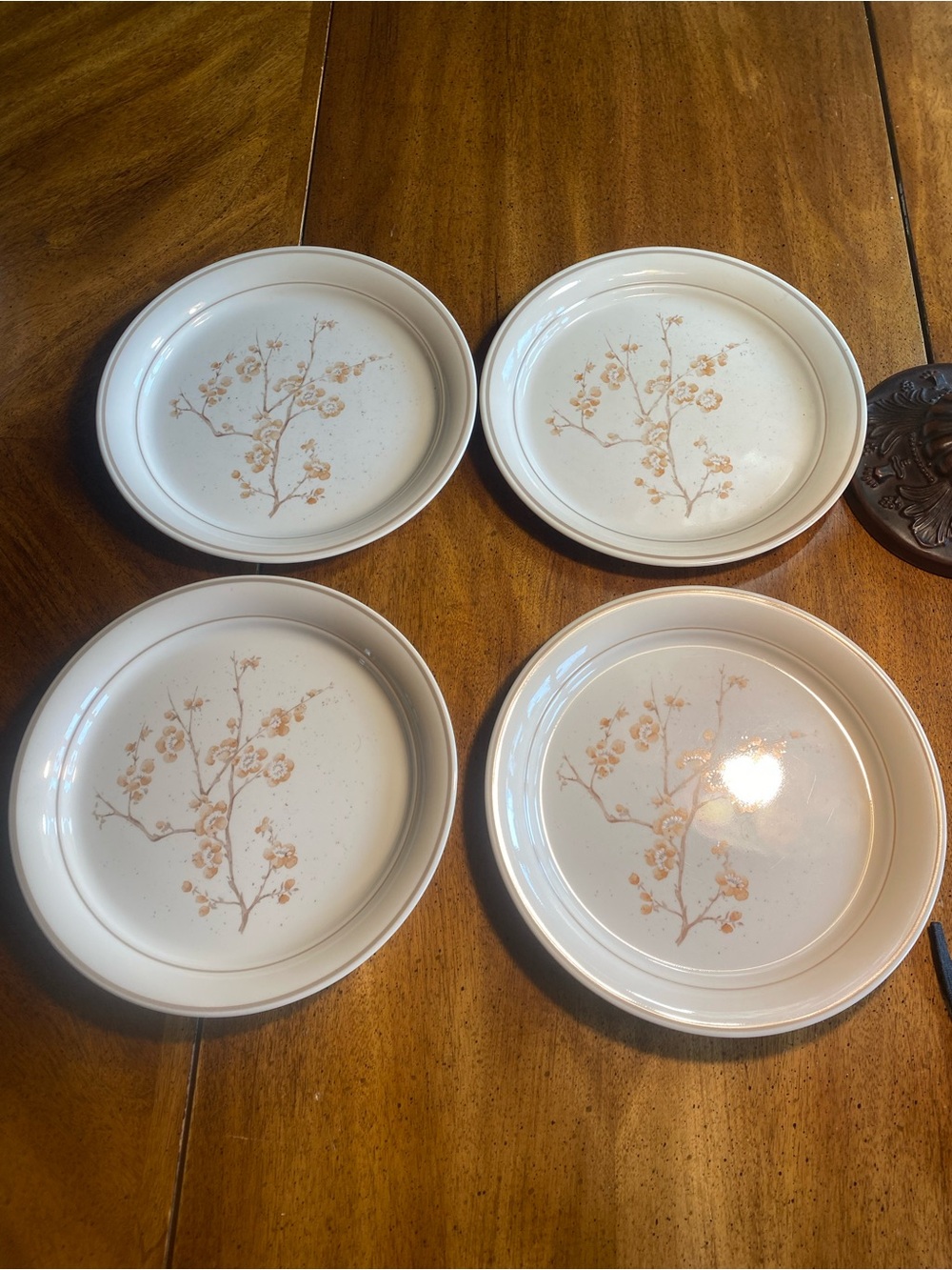 Corelle/Cornerstone China Blossom 10.25” Dinner Plates set of 4